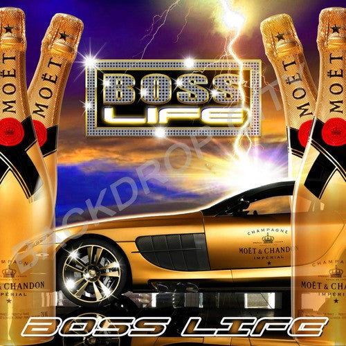 Boss Life 1 Computer Printed Backdrop - Backdrop City