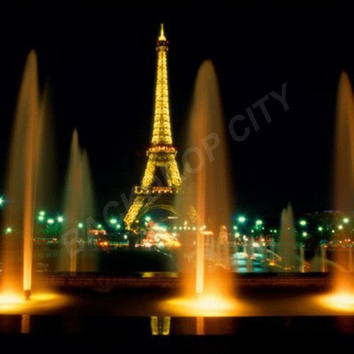 Eiffel Tower Computer Printed Backdrop - Backdrop City